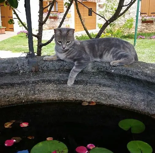 Vikendica Old Barn Umag